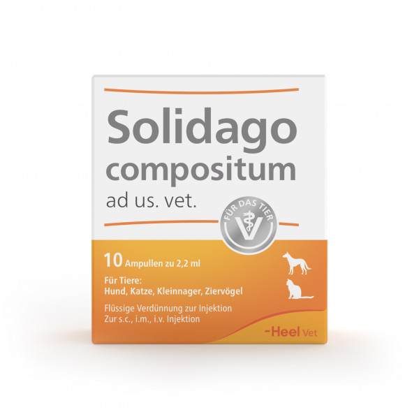 Abbildung für SOLIDAGO COMPOSITUM ad us.ve. für Tiere Ampullen