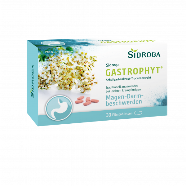 Abbildung für SIDROGA GastroPhyt 250 mg Filmtabletten