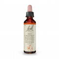 Original Bachblüten Red Chestnut 20ml