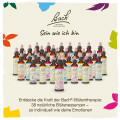 Original Bachblüten Red Chestnut 20ml