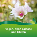 PHYTOHUSTIL Hustenreizstiller Sirup