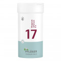 BIOCHEMIE Pflüger 17 Manganum sulfuricum D 6 Tabl.