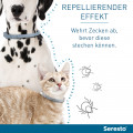 SERESTO Halsband für kleine Hunde