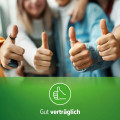 REFLUTHIN bei Sodbrennen Kautabletten Minze