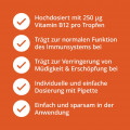 VITAMIN B12 TROPFEN vegan
