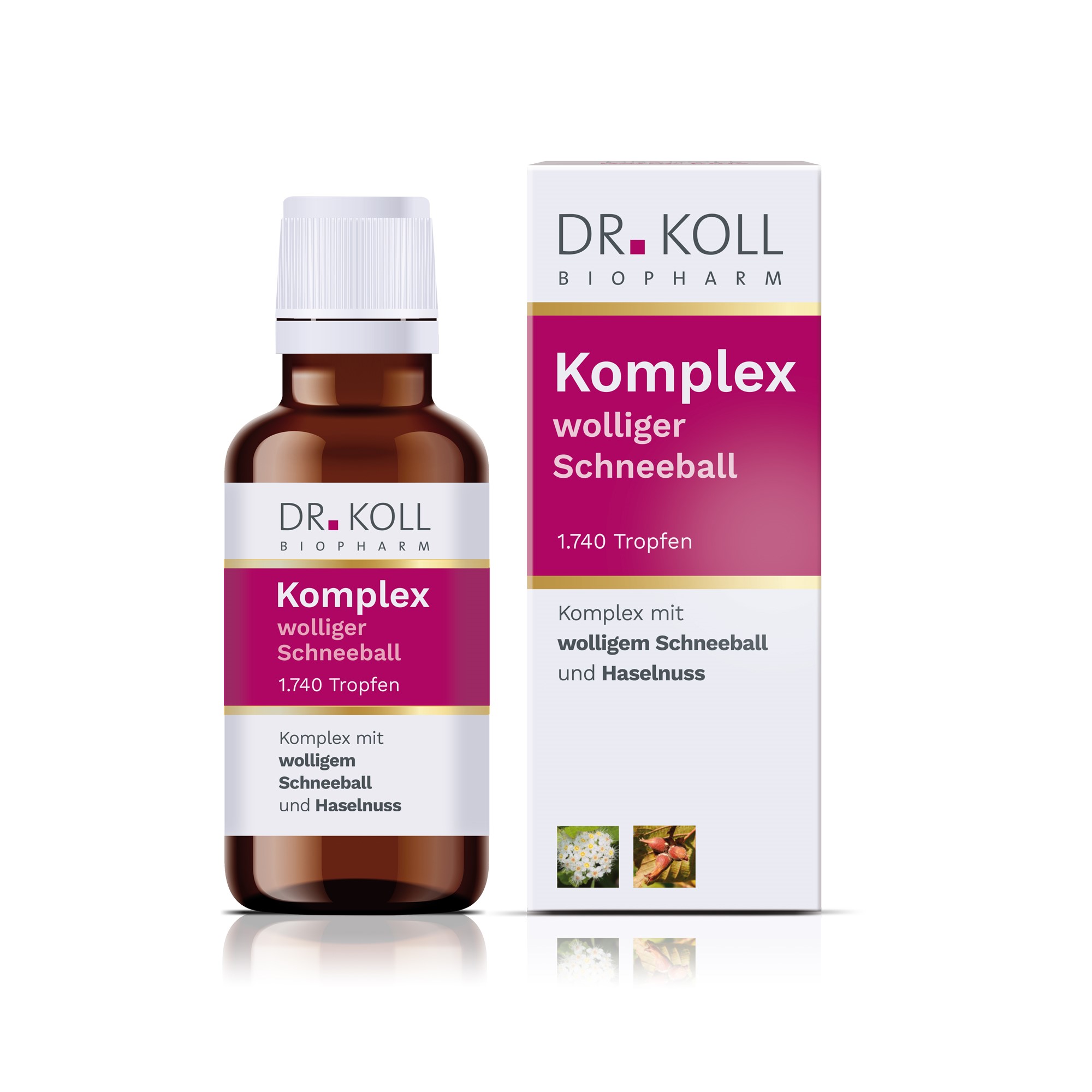 KOMPLEX wolliger Schneeball Haselnuss Dr.Koll Tro. Abbildung für KOMPLEX wolliger Schneeball Haselnuss Dr.Koll Tro.